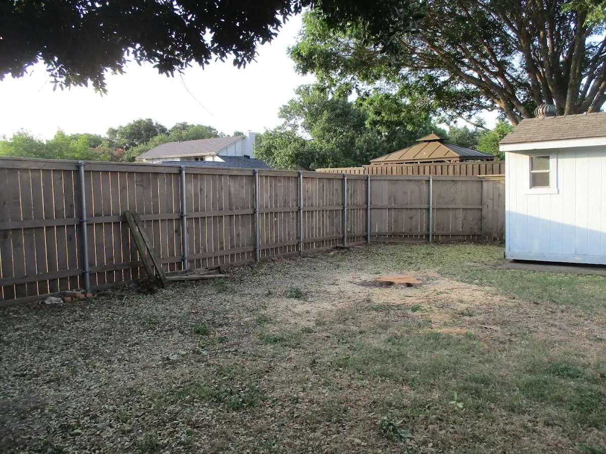 Cleared yard after professional tree removal in Superior